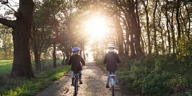 road safet for student